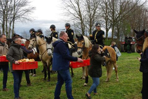 ps2024_00185-scaled null