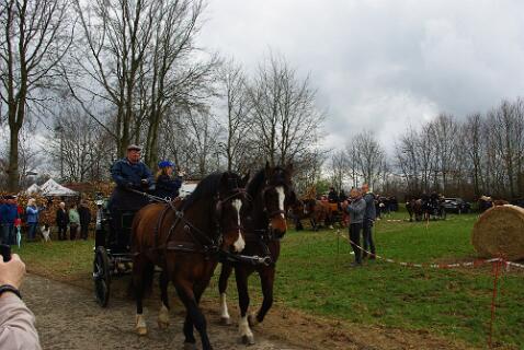 Huppenbroich_13-04-2025_ (15) null