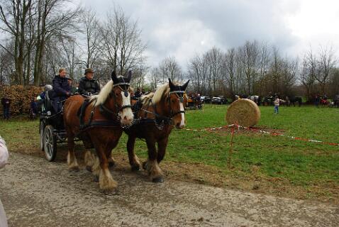 Huppenbroich_13-04-2025_ (19) null