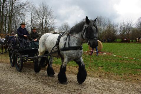 Huppenbroich_13-04-2025_ (20) null